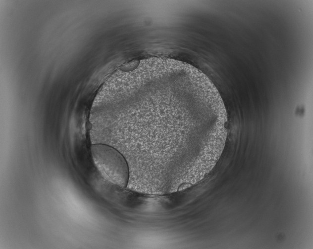X0000115370334200911241246