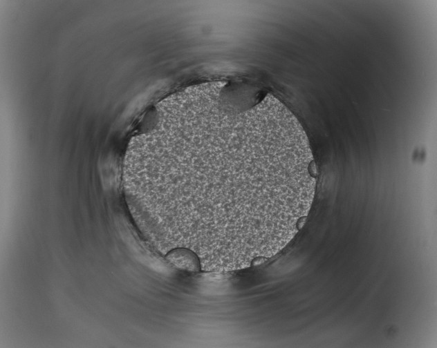X0000115370335200911241246
