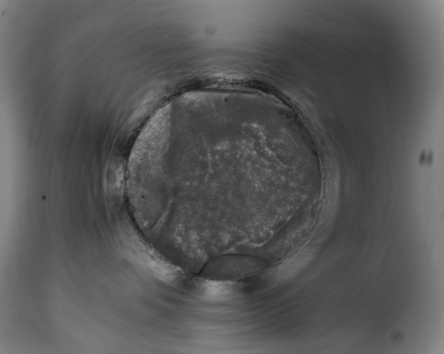 X0000115370336200911241246