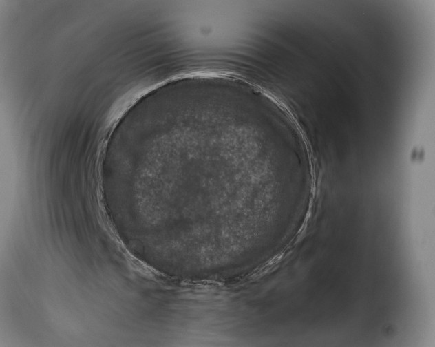 X0000115370337200911241245