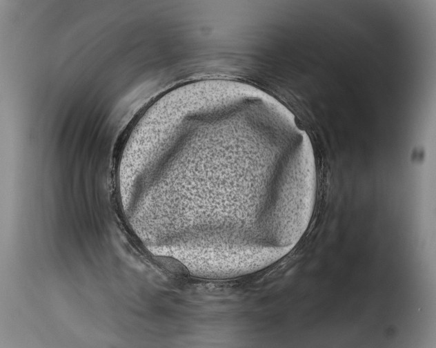 X0000115370338200911241245
