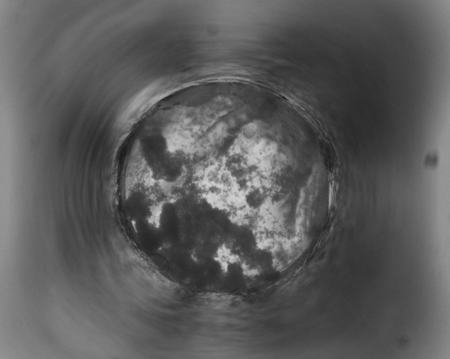 X0000115370339200911241245
