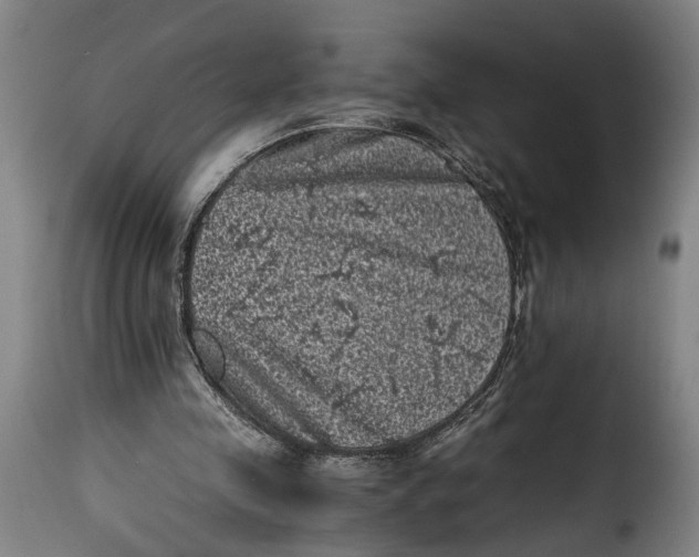 X0000115370341200911241245