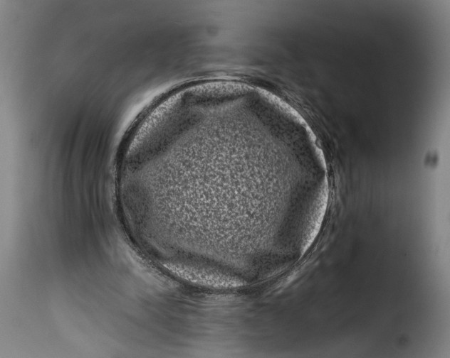 X0000115370342200911241245