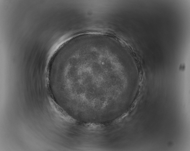 X0000115370343200911241245