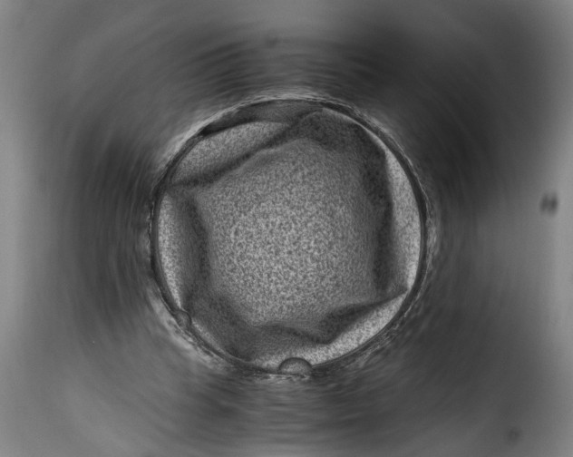 X0000115370345200911241245