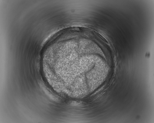 X0000115370346200911241245