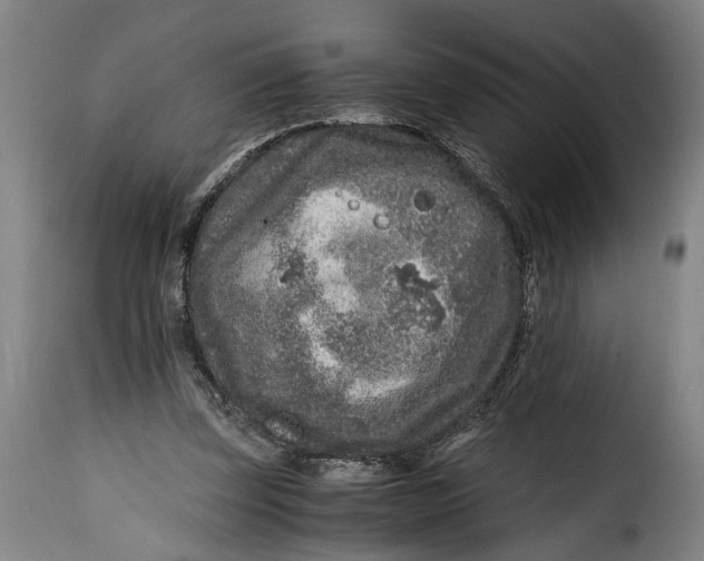 X0000115370347200911241245