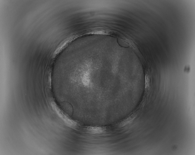 X0000115370349200911241245
