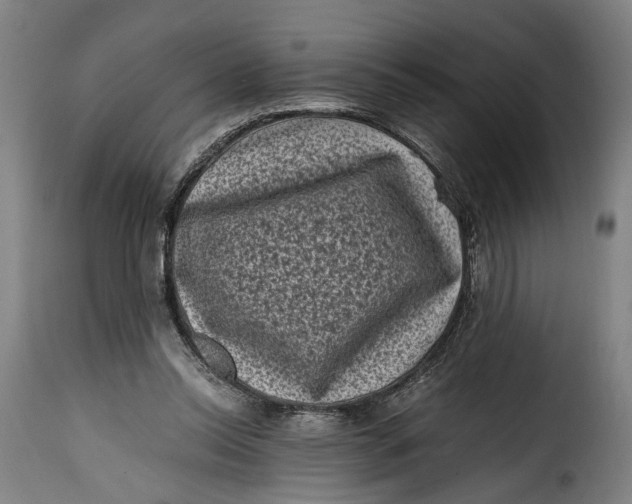 X0000115370350200911241245