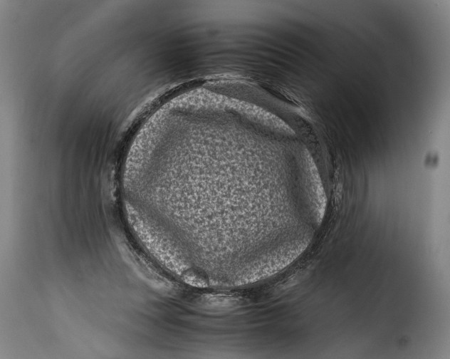 X0000115370351200911241245