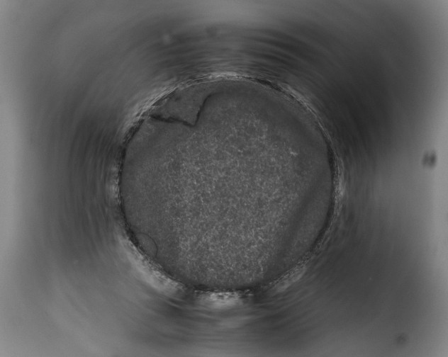 X0000115370353200911241245