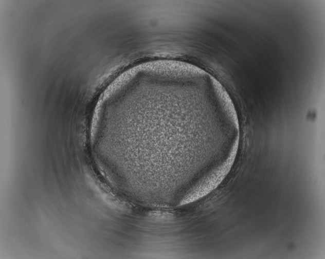 X0000115370354200911241245