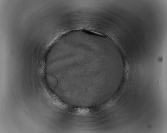 X0000115370355200911241245