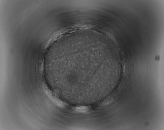 X0000115370357200911241245