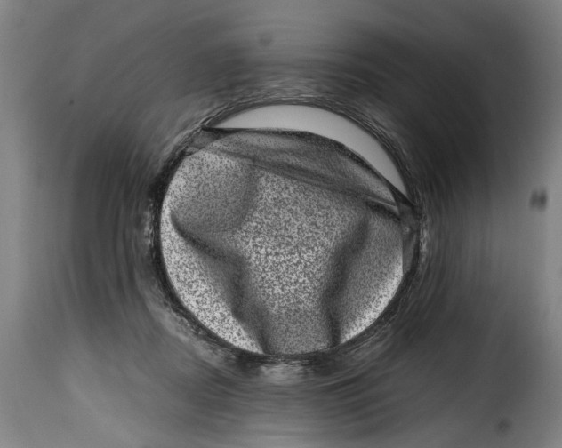 X0000115370362200911241246