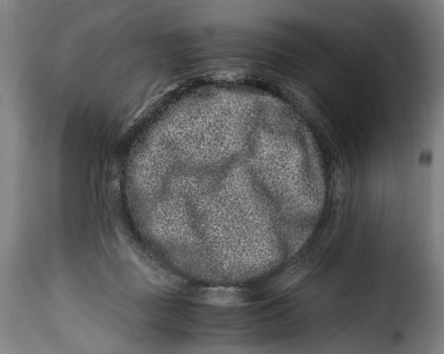 X0000115370363200911241246