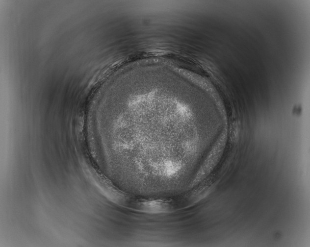 X0000115370365200911241246