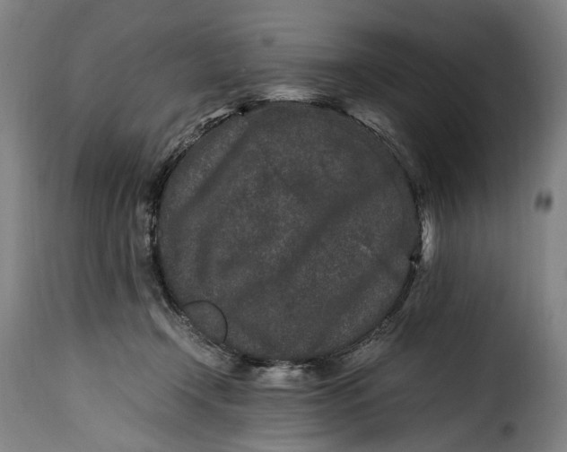 X0000115370366200911241246