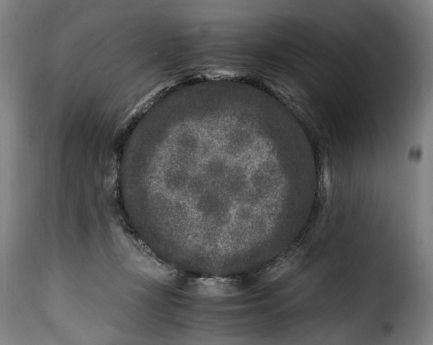 X0000115370367200911241246