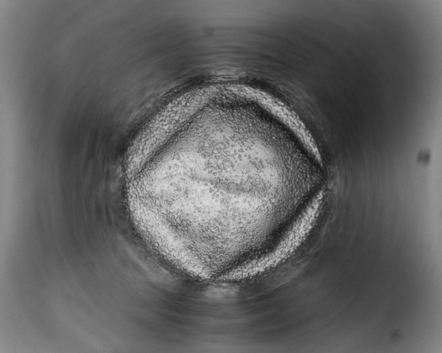 X0000115370369200911241246