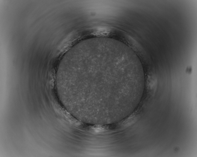 X0000115370370200911241246