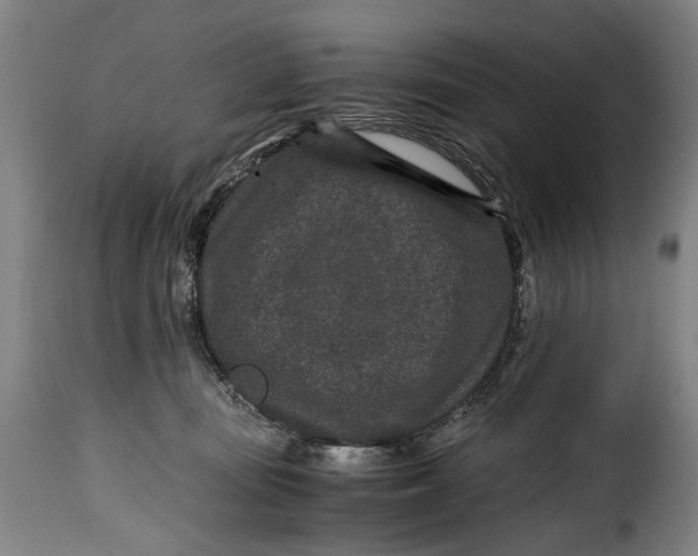 X0000115370371200911241246