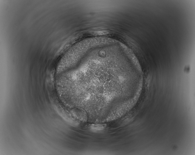 X0000115370373200911241246