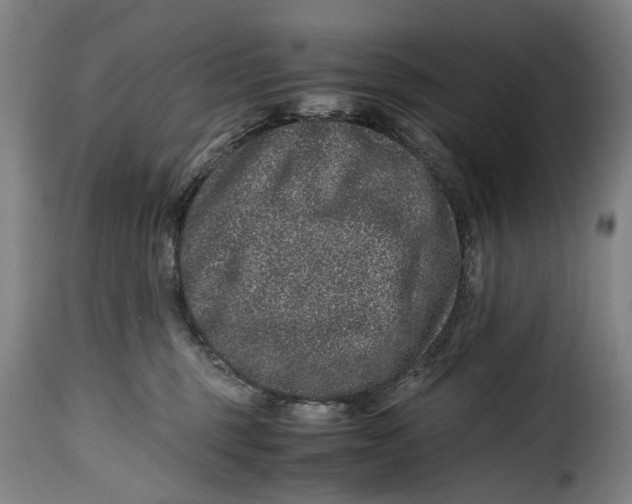 X0000115370375200911241246