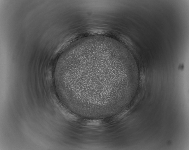 X0000115370377200911241246