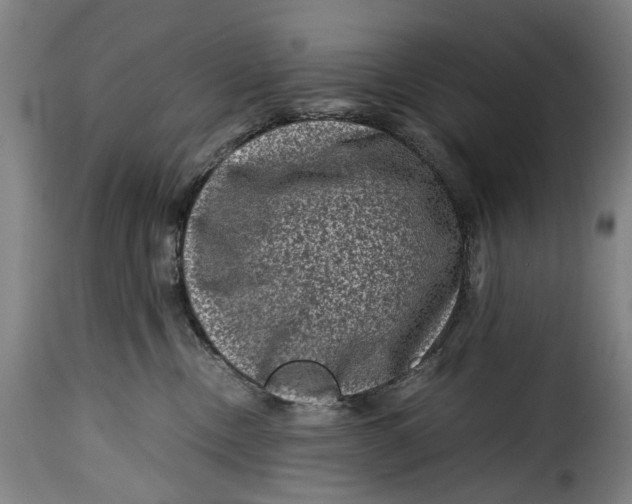 X0000115370378200911241246