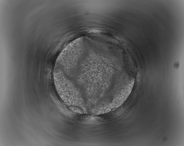 X0000115370379200911241246