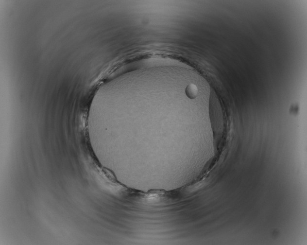 X0000115370382200911241246