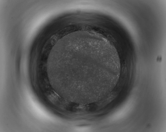 X0000115370383200911241246