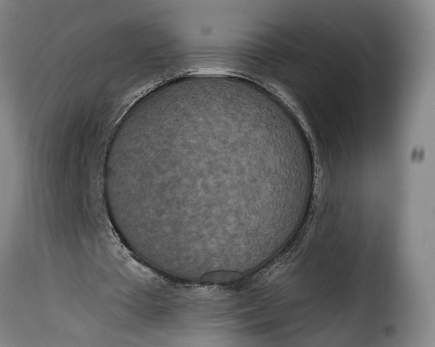 X0000115370385200911241245