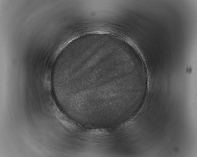 X0000115370386200911241245