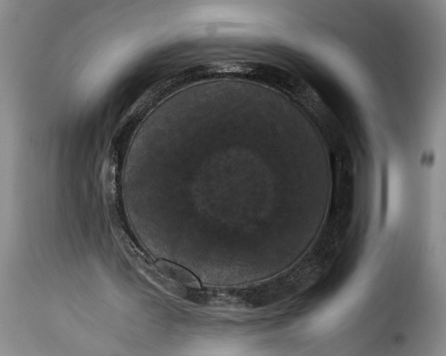 X0000115370387200911241245