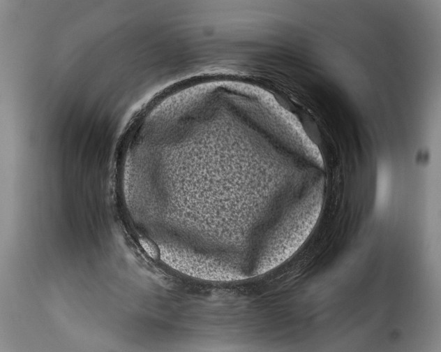 X0000115370388200911241245