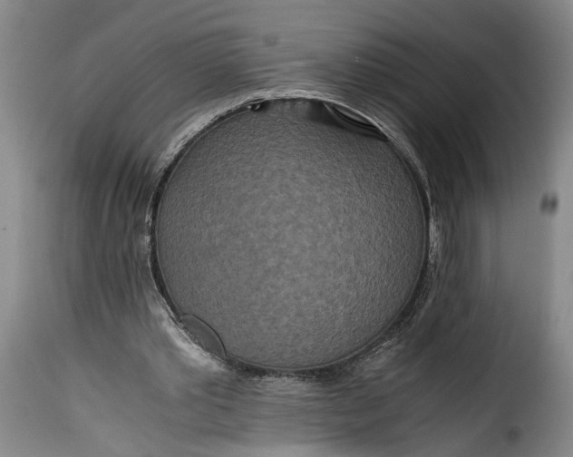 X0000115370389200911241245