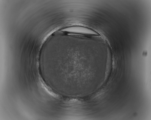 X0000115370390200911241245