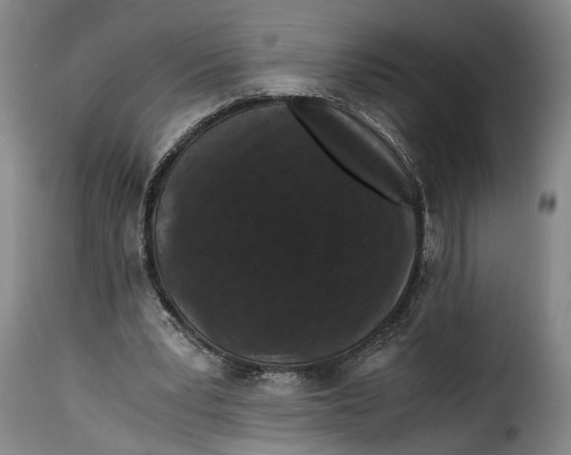 X0000115370391200911241245