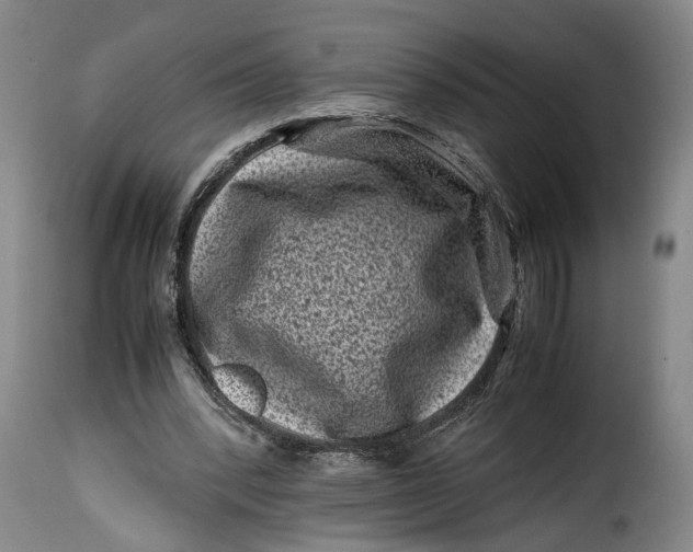 X0000115370392200911241245