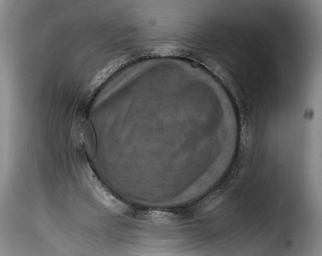 X0000115370393200911241245