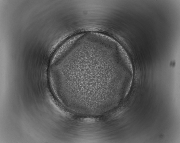 X0000115370394200911241245