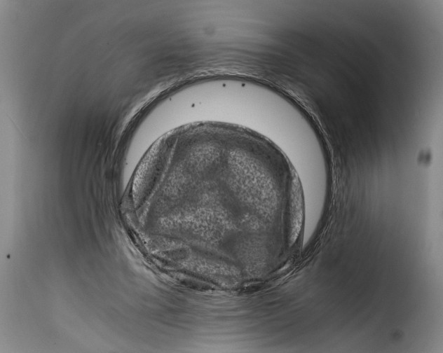 X0000115370395200911241245