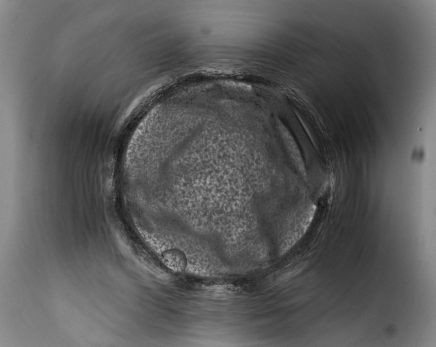 X0000115370396200911241245