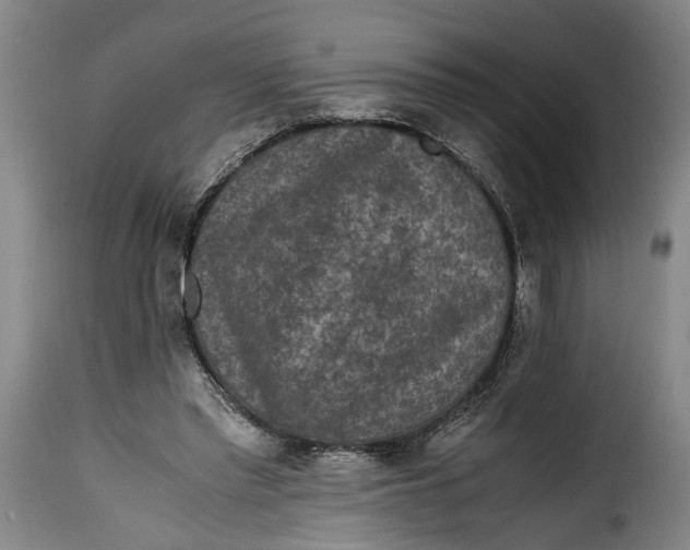 X0000115370397200911241245