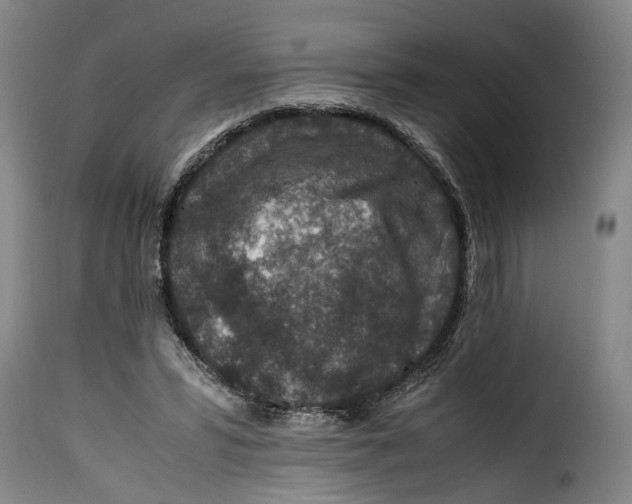 X0000115370399200911241245
