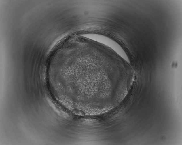 X0000115370400200911241245