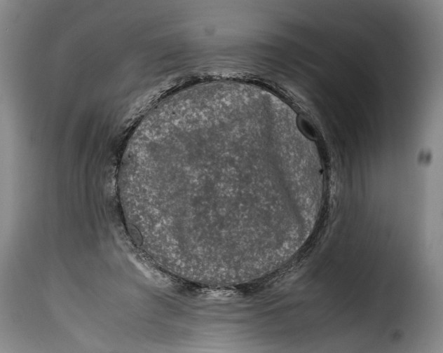 X0000115370401200911241245